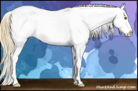 Horse Color:White Spotted Classic Cream Champagne Ice Appaloosa 