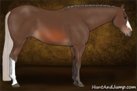 Horse Color:Silver Brown