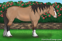 Horse Color:Bay Dun Splash 