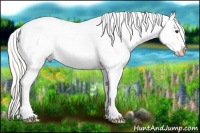 Horse Color:Silver Buckskin Splash Appaloosa 
