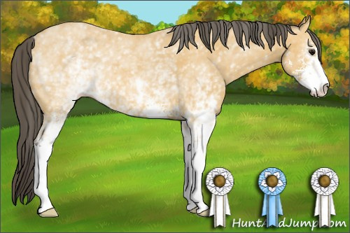 Horse Color: Unknown 