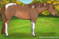 Horse Color:Chestnut Tobiano 