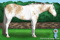Horse Color:White Spotted Amber Cream Champagne 