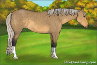 Horse Color:Silver Buckskin Dun 
