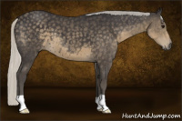 Horse Color:Silver Smoky Black 