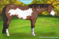 Horse Color:Bay Roan Frame