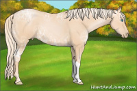 Horse Color:Palomino Ice Pearl 