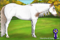 Horse Color:Chestnut Splash Tobiano Frame 