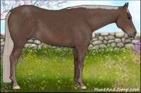 Horse Color:Silver Brown 