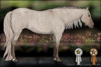 Horse Color:Silver Grullo Roan 