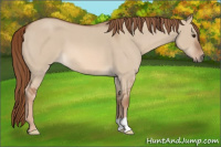Horse Color:Liver Red Dun Roan 