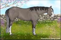 Horse Color:Smoky Grullo Sabino Splash