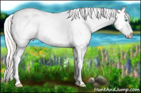 Horse Color:Silver Buckskin Roan Pearl Splash Varnish 
