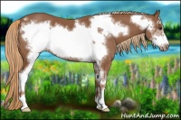Horse Color:Chestnut Sabino Frame