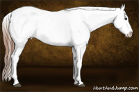 Horse Color:Bay Splash Blanket Rabicano 