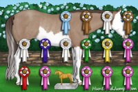 Horse Color:Sable Champagne Sabino Splash Rabicano 