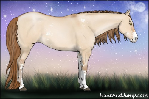 Horse Color: Bay Pearl Dun Sabino 