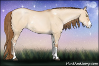 Horse Color:Bay Pearl Dun Sabino