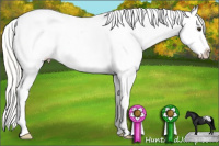 Horse Color:Silver Buckskin Appaloosa