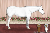 Horse Color:Bay Sabino Near Fewspot 