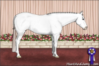 Horse Color:Bay Sabino Appaloosa 