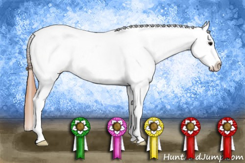 Horse Color: Bay Dun Splash Tobiano Snowcap 