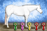 Horse Color:Bay Dun Splash Tobiano Appaloosa 