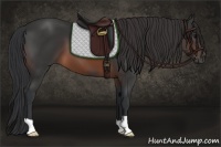 Horse Color:Brown 