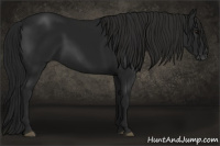 Horse Color:Gray Brown 