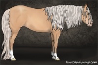 Horse Color:Silver Amber Champagne 