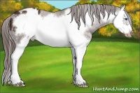 Horse Color:White Spotted Liver Chestnut Splash Frame Blanket 
