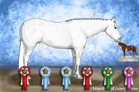 Horse Color:White Spotted Smoky Grullo Roan Splash Snowcap 
