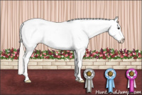 Horse Color:Silver Bay Roan Dun Appaloosa 
