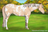 Horse Color:White Spotted Palomino Pearl 