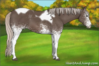 Horse Color:White Spotted Silver Black Tobiano 