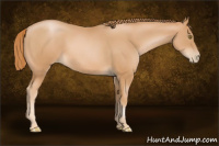Horse Color:Chestnut Pearl
