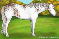 Horse Color:White Spotted Silver Bay Ice 