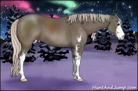 Horse Color:Silver Bay Sabino 