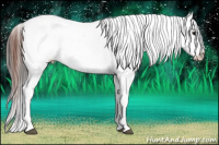 Horse Color:Bay Tobiano Appaloosa 