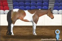 Horse Color:Bay Tobiano Rabicano 