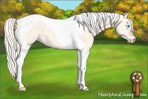Horse Color: Cremello Dun Tobiano 