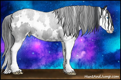 Horse Color: White Spotted Blue Roan Splash 