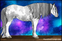 Horse Color:White Spotted Blue Roan Splash 
