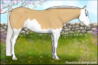 Horse Color:Silver Buckskin Splash 