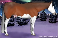 Horse Color:Brown Splash 