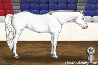 Horse Color:Silver Buckskin Roan Dun Blanket