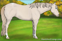 Horse Color:Smoky Creme Tobiano 