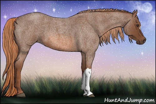 Horse Color: Liver Red Roan 