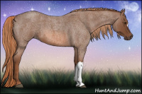 Horse Color:Liver Red Roan 
