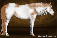 Horse Color:White Spotted Chestnut Frame 